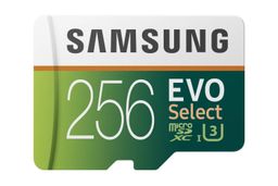 EVO Select 256GB