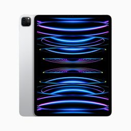 iPad Pro 11'' (2022)