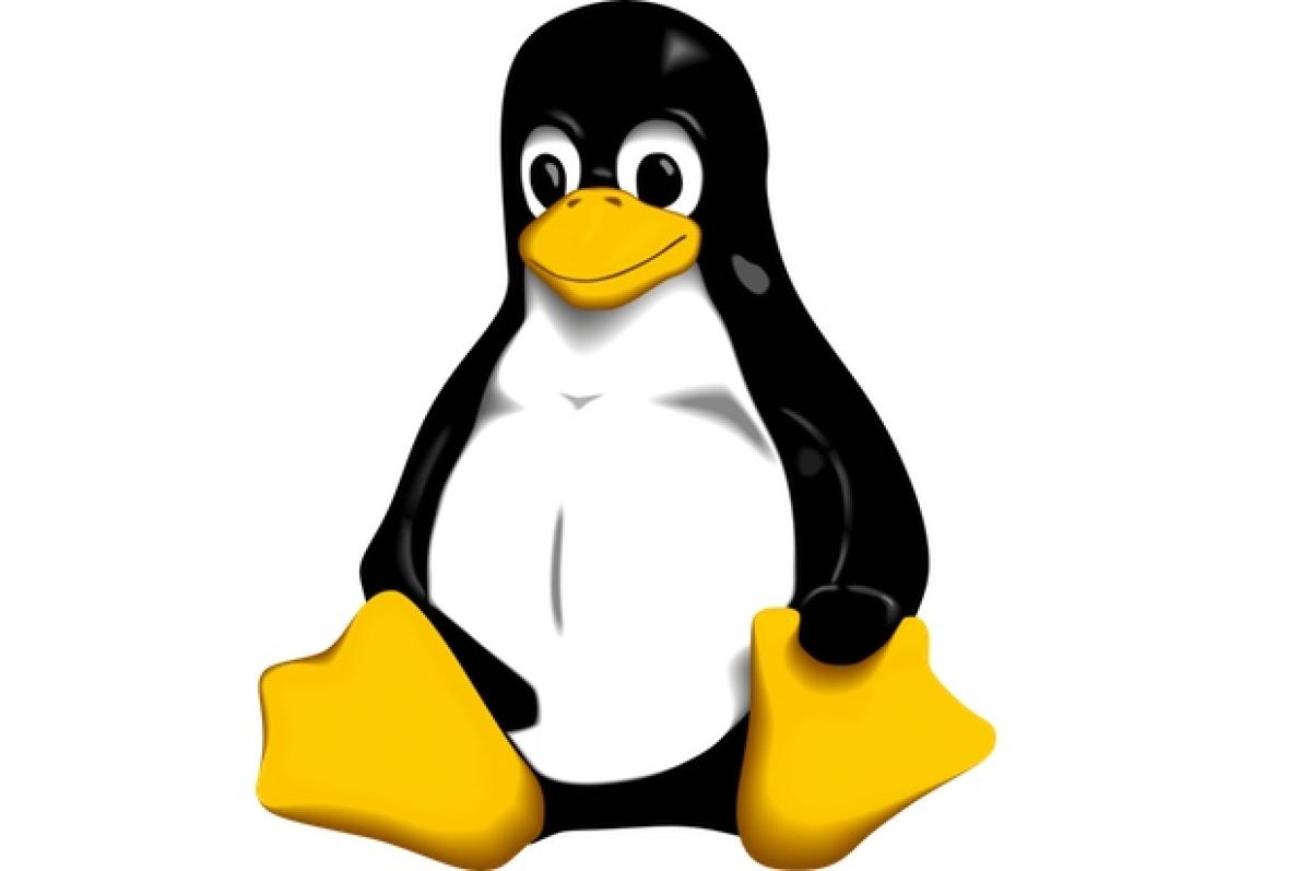 teamviewer linux teamviewer linux