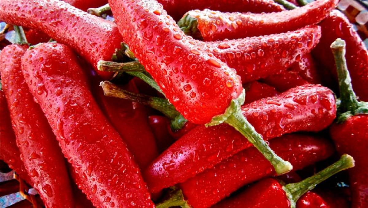 217308 pimiento picante alarga vida Merca2.es