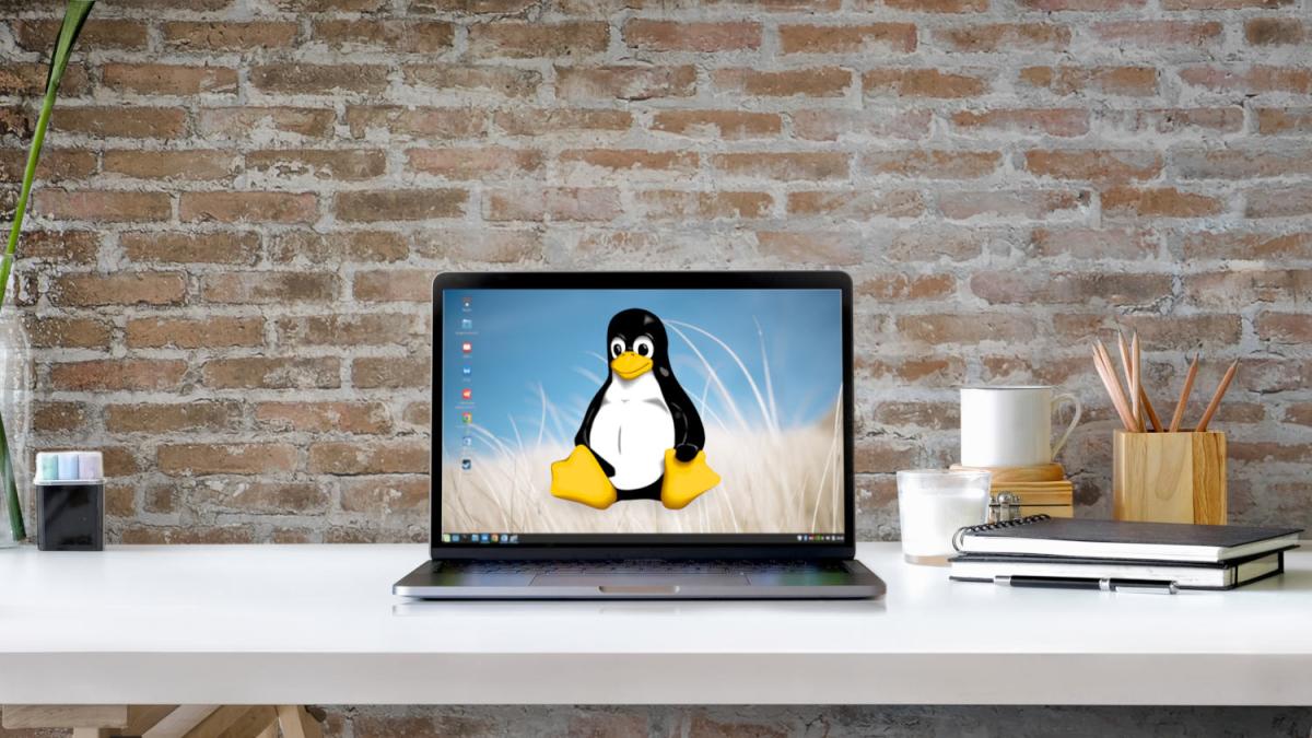 First steps in Linux in 2022: current status and most popular distros | Technology