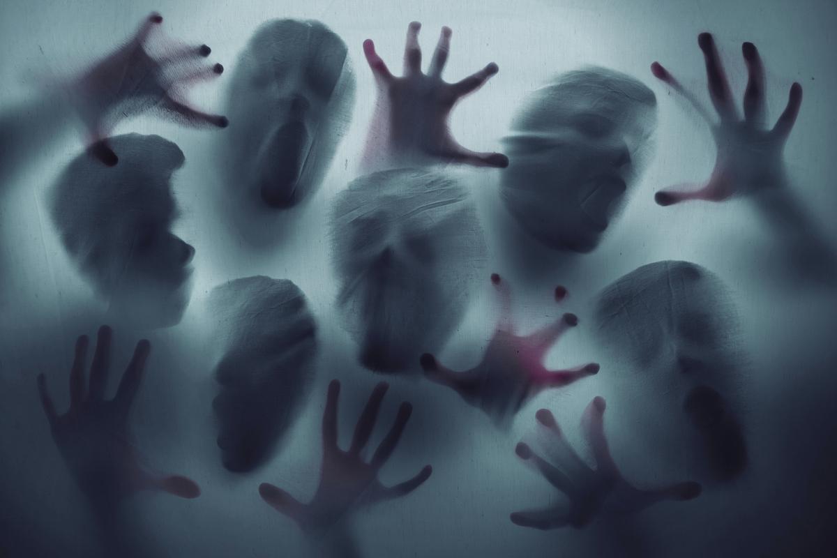 Estas Son Las 10 Películas De Miedo Más Aterradoras Según La Ciencia Entretenimiento