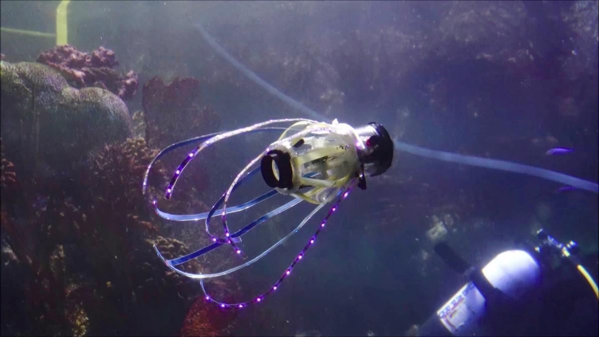 Este robot calamar se mueve igual que los ejemplares de verdad Tecnología Este robot calamar se mueve igual que los ejemplares de verdad Tecnología