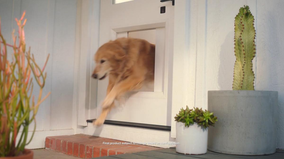 MyQ Pet Portal, la puerta inteligente para mascotas | Life