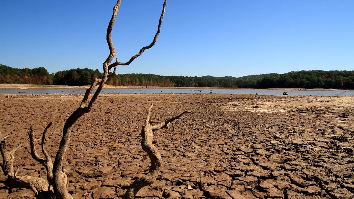 Climate change could intensify the conflict over basic resources in certain countries | Life