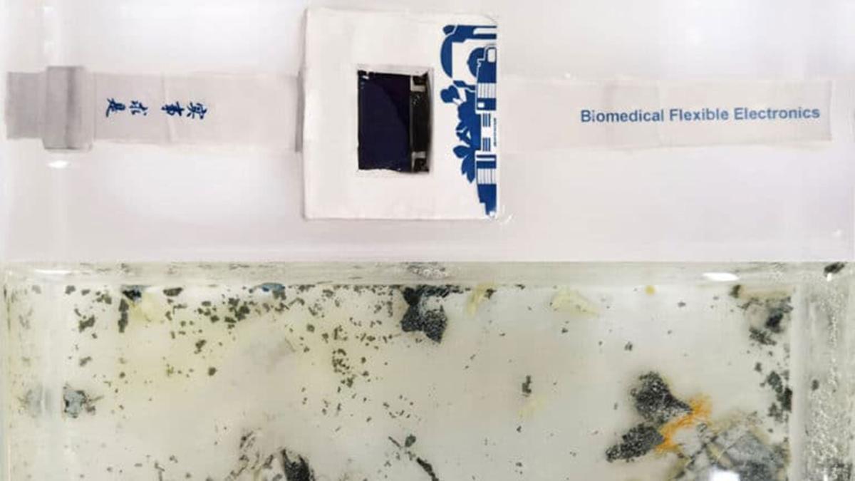 They create a smart watch that dissolves in water in just 40 hours | Technology