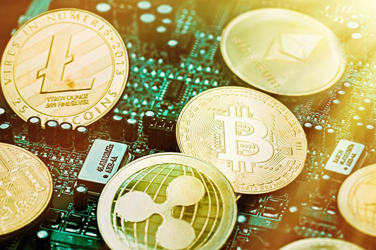 An expert gives Shiba Inu for dead and bets on these 3 little-known cryptocurrencies | Technology