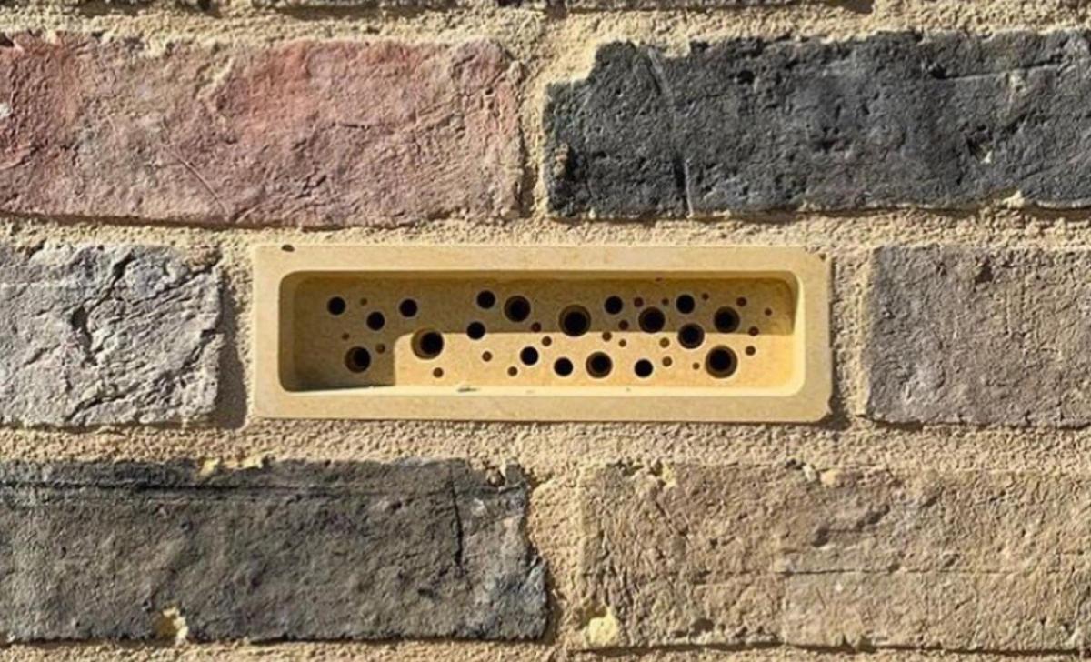 Bricks to save the bees |  Life