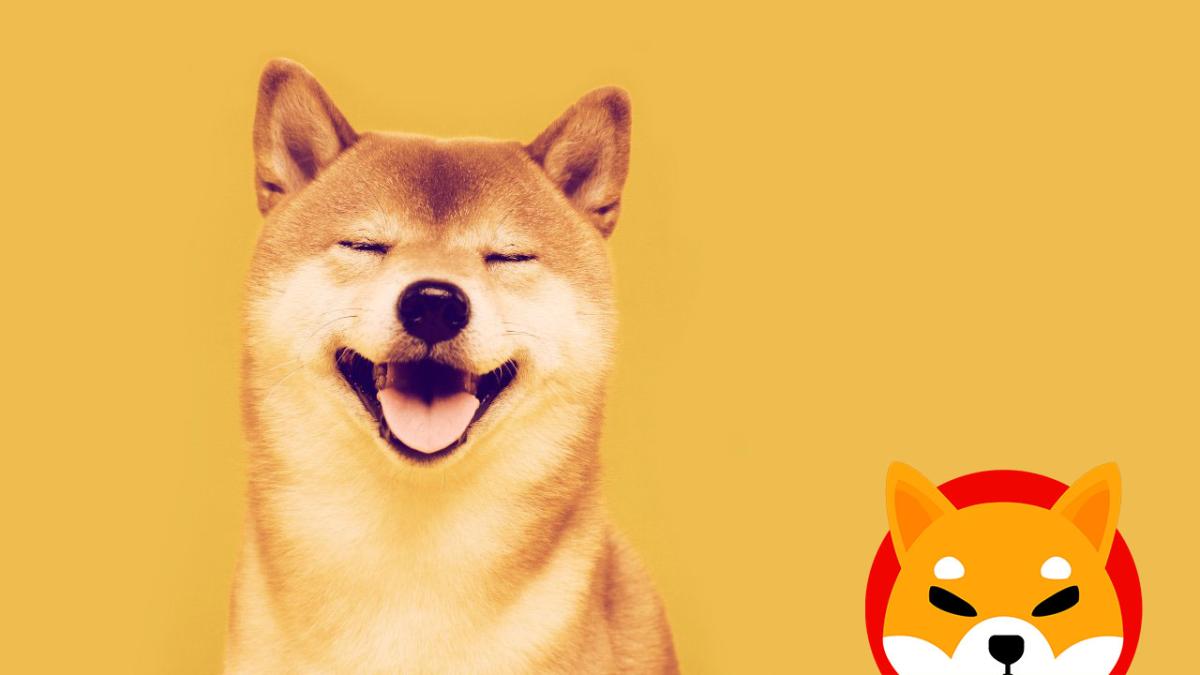 Shiba Inu on the floor and the experts get wet: opportunity or is it a waste of money?  |  Technology