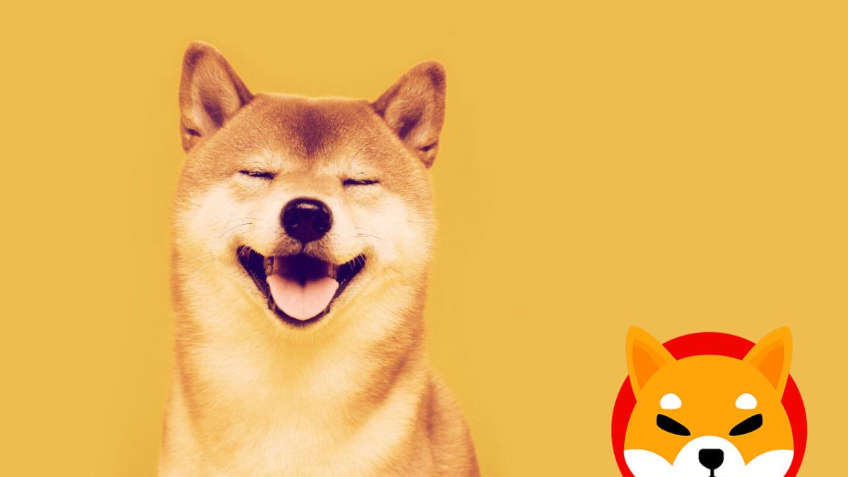 Shiba Inu on the floor and the experts get wet: opportunity or is it a waste of money? | Technology