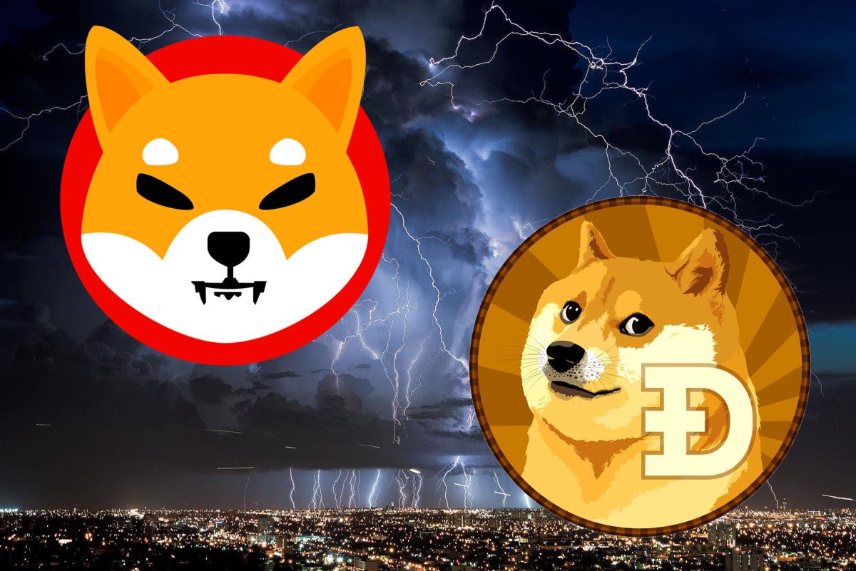 3 reasons why you should get rid of your Shiba Inu and Dogecoins ...