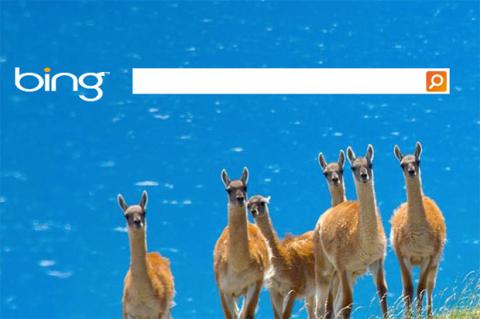 Microsoft da versión especial de Bing -y Surface- a escuelas Microsoft da versión especial de Bing -y Surface- a escuelas