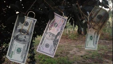 Millonario de @HiddenCash esconde 14 sobres con dinero en el castillo de Gibralfaro, en Málaga. Millonario de @HiddenCash esconde 14 sobres con dinero en el castillo de Gibralfaro, en Málaga.