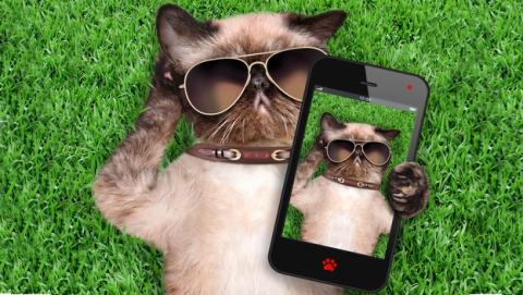 Llega el nuevo lenguaje Instagram Llega el nuevo lenguaje Instagram