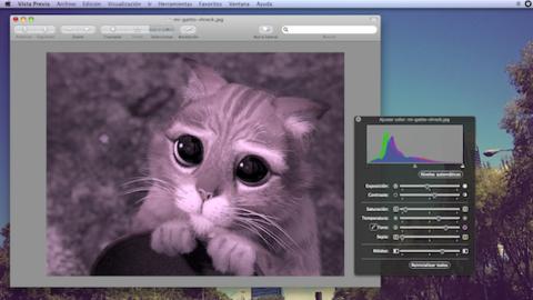 Cómo editar PDFs e imágenes con Vista Previa de Mac Cómo editar PDFs e imágenes con Vista Previa de Mac