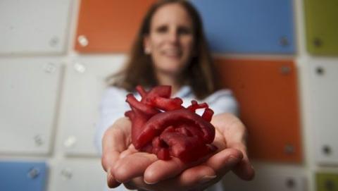 Crean un tejido cardíaco que puede reparar un corazón dañado Crean un tejido cardíaco que puede reparar un corazón dañado