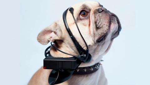 Traductor de ladridos de perro Traductor de ladridos de perro