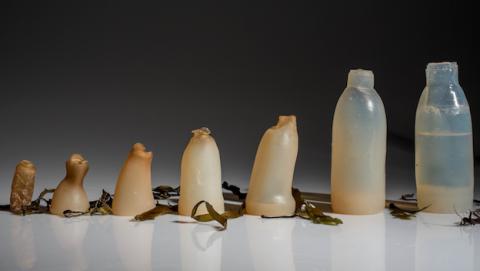 Botellas de agua biodegradables a base de alga Botellas de agua biodegradables a base de alga