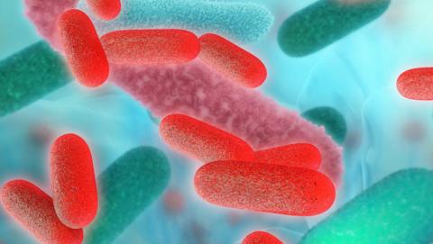 pila combustible bacterias pila combustible bacterias
