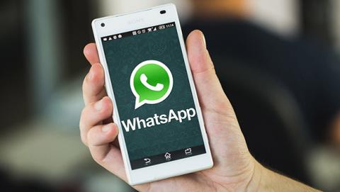 Canal oficial de Whatsapp Canal oficial de Whatsapp
