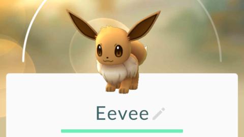 Escoge a qué evolucionará Eevee en Pokémon GO de este modo Escoge a qué evolucionará Eevee en Pokémon GO de este modo