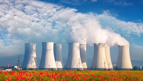 central nuclear central nuclear
