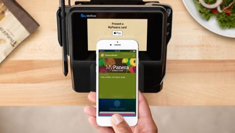 apple pay apple pay