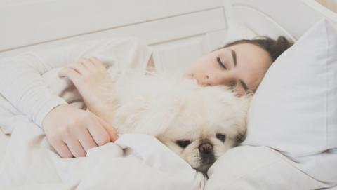 ¿Es malo compartir cama con tu perro? ¿Es malo compartir cama con tu perro?