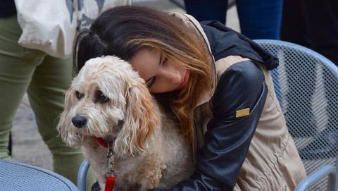 ¿Es bueno abrazar a tu perro? ¿Es bueno abrazar a tu perro?