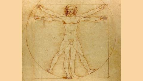 El Hombre de Vitruvio: significado y secretos del hombre perfecto