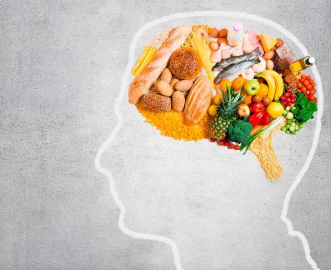 Cerebro comida Cerebro comida