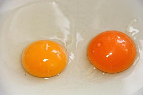 Huevos Huevos