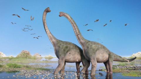 Brachiosaurus Dinosaurios