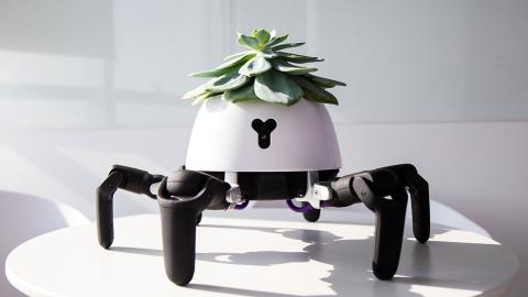 Robot planta