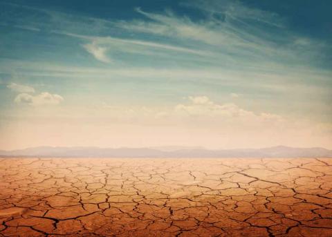 Desierto Desierto