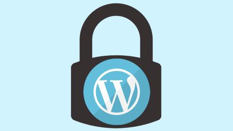 Seguridad Wordpress Seguridad Wordpress