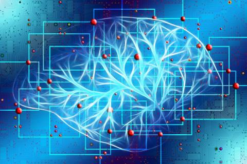 cerebro estimulacion cerebro estimulacion
