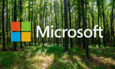 Así es Bosque, el nuevo lenguaje de programación de Microsoft Lenguaje de programación Bosque