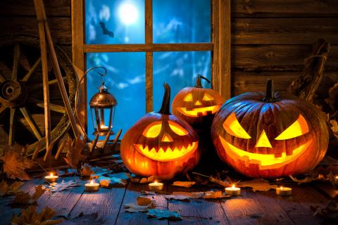 Halloween Halloween