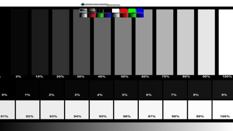 Online Monitor Test