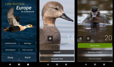 The 7 Best Android Mobile Apps to Identify Birds