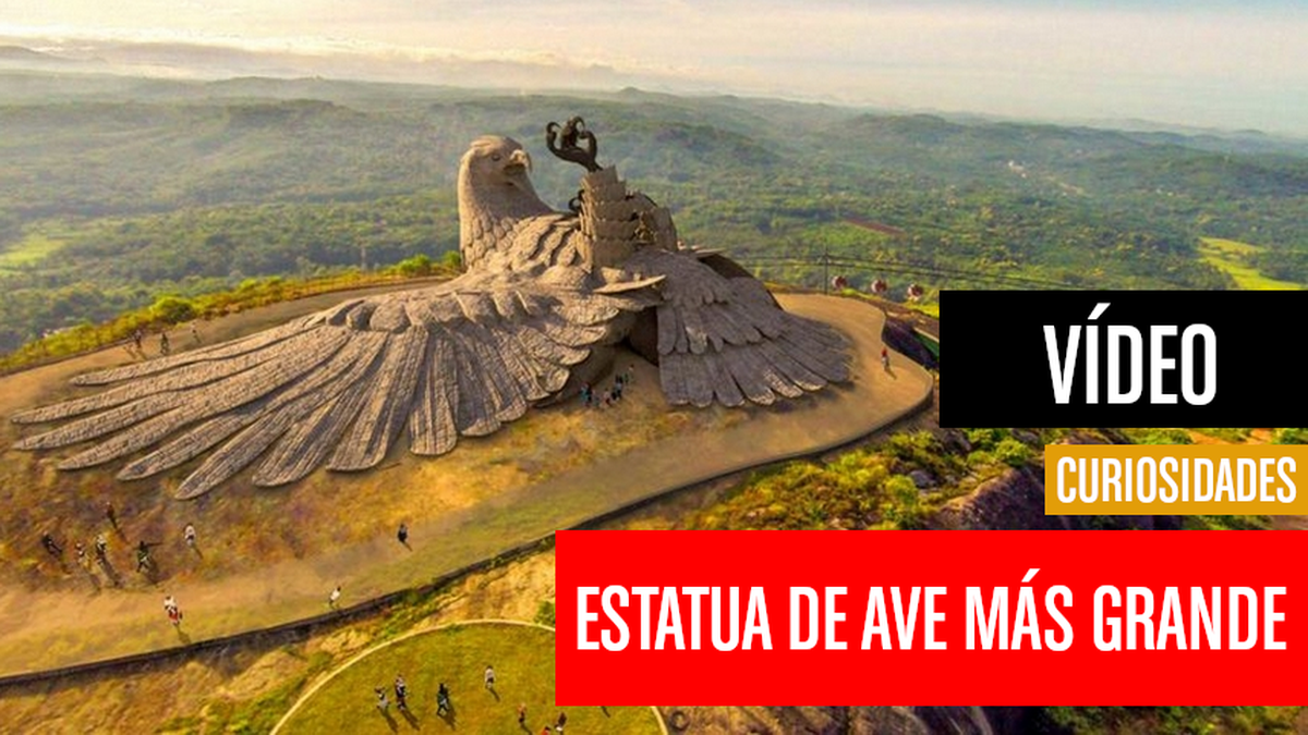 La estatua con forma de pájaro más grande del mundo, ¿por qué es un águila  caída? | Computer Hoy